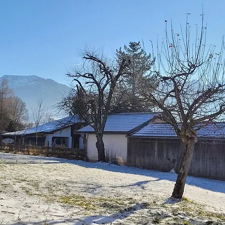 Obstgarten *