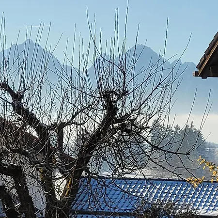 Obstgarten