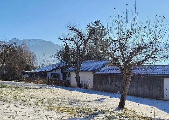 Obstgarten *